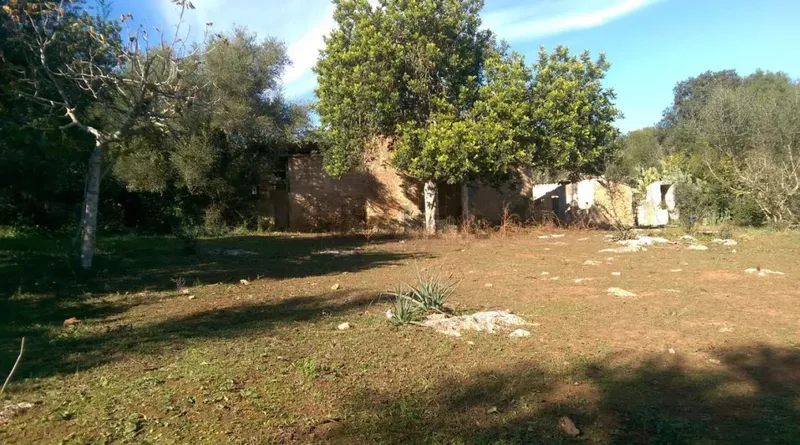 Rustic estate with tool shed — photo 5