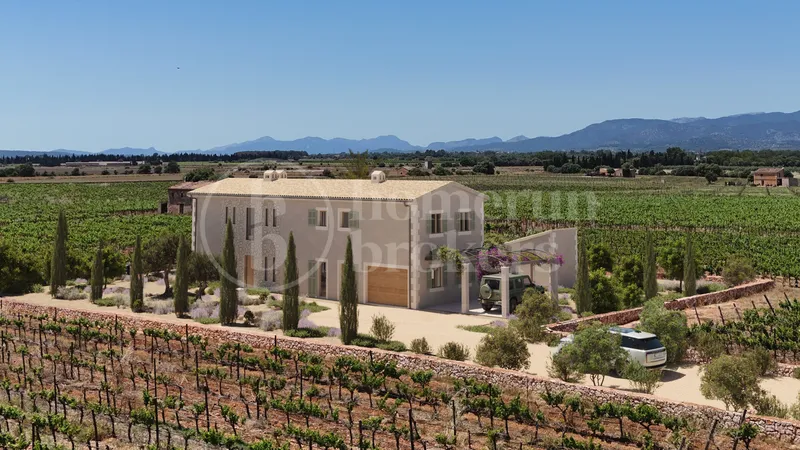 Finca Sa Vinya - Contemporary Mallorcan Estate — photo 2