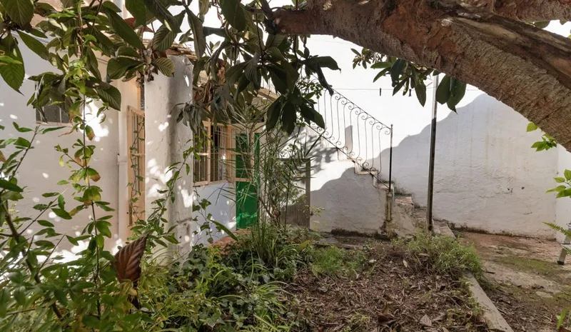SVSTA 127 – Santa Catalina — photo 4