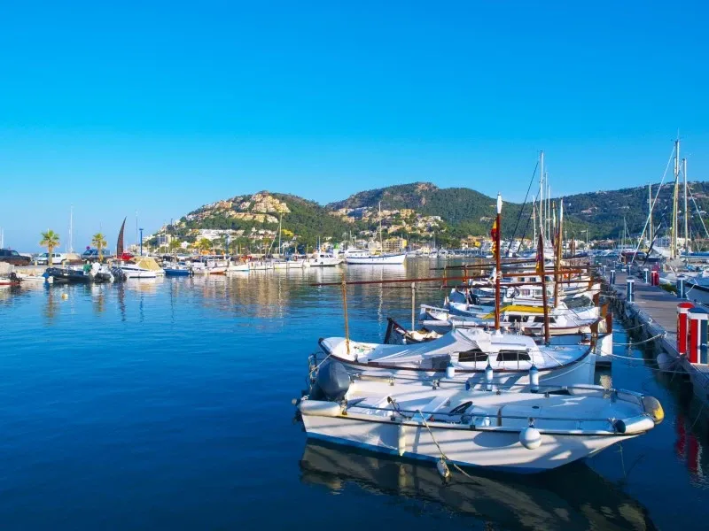 Mallorca Next Properties - Plot 60,000m2 with project for house of total 575m2 — photo 1