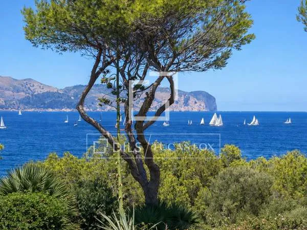 315m² house / villa with 7,012m² garden for sale in Alcudia — photo 11