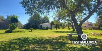 Real estate picture 0 Ref. No. 81348 — photo 4