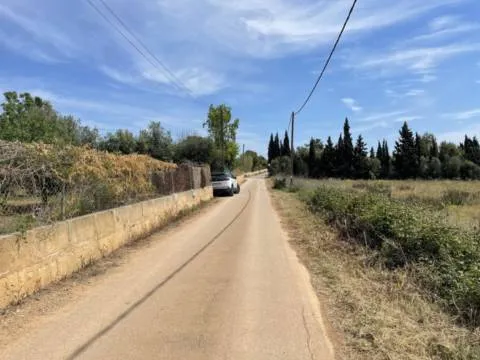 Plot — photo 5