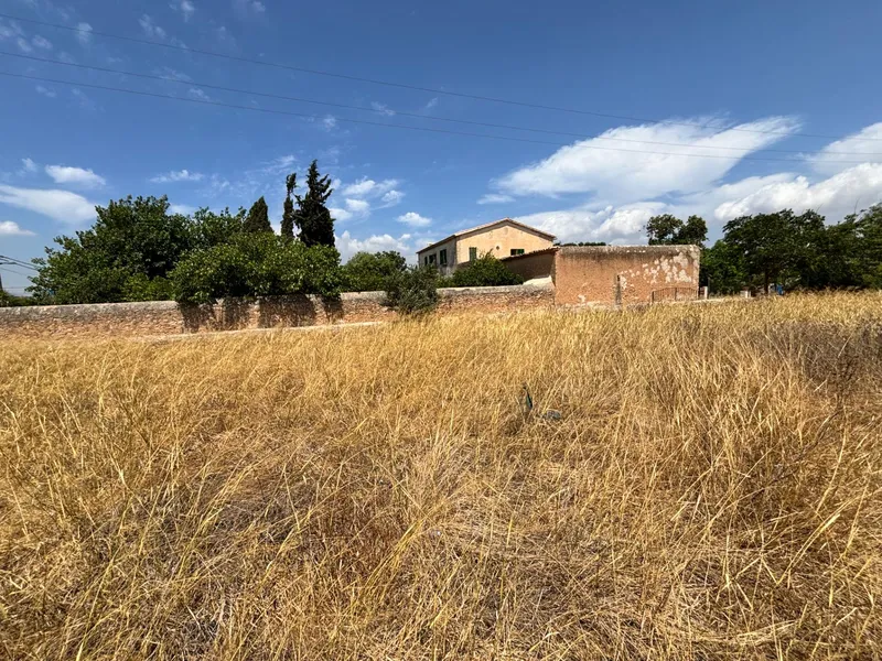 Buildable plot in Pla de na Tesa, Marratxí — photo 1