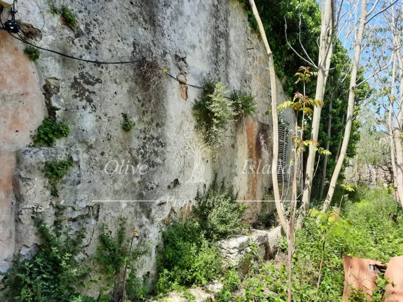 Mansion in Binissalem, Province of Balearic Islands — photo 6