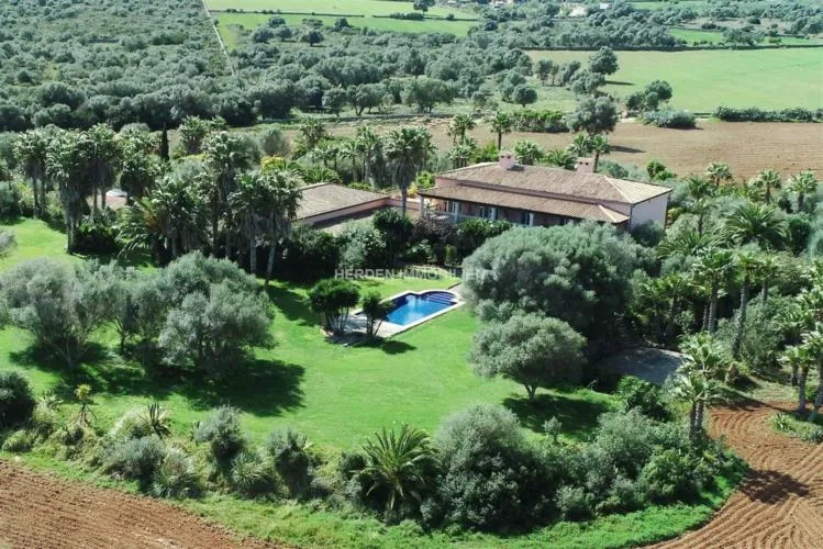 Luxury Finca for Sale in Santa Margalida - Mallorca — photo 6