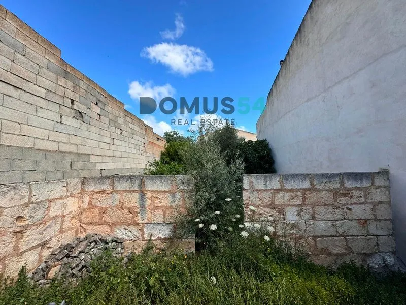 plot in Sa Pobla — photo 1