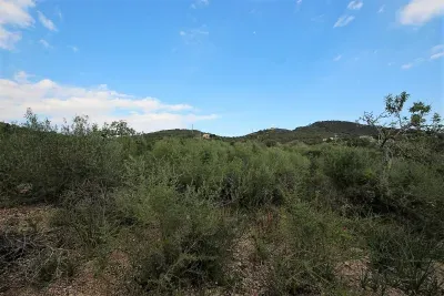 Building land in Manacor — photo 3