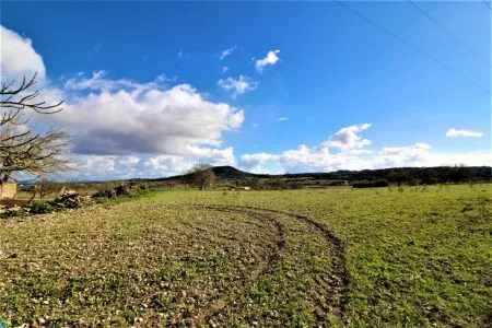 Rural Land - Sineu, Plot Surface 28600 m² — photo 3