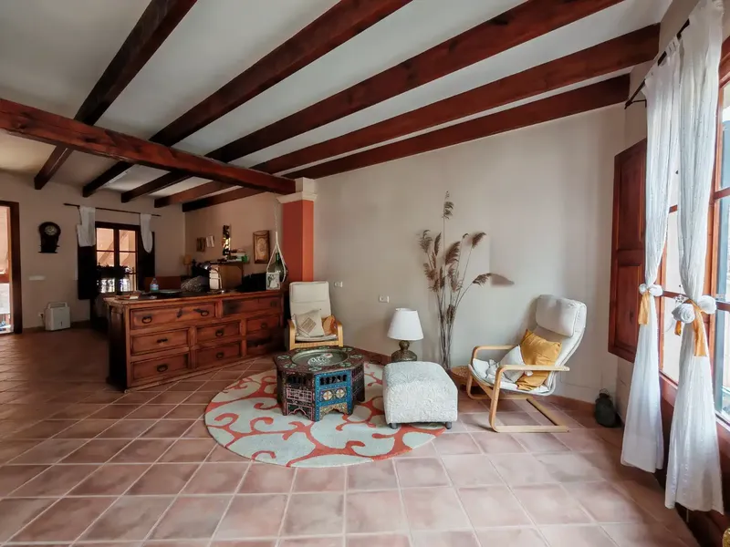 Historic village house with guest apartment, interior patio with fountain and authorized pool project — photo 10