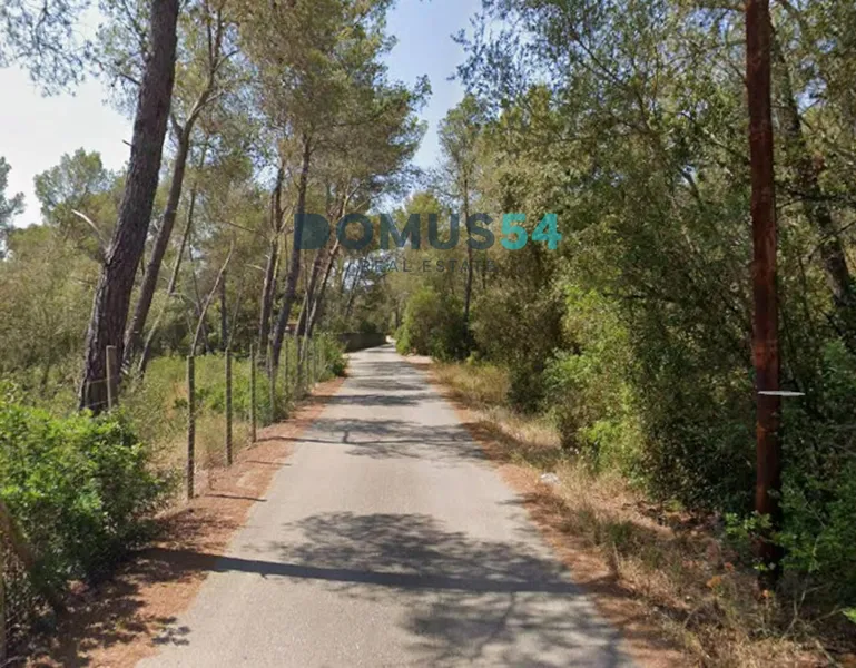 Non-building rural land in Alcudia. Holm oak forest. — photo 11
