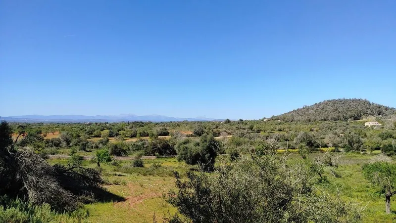 Land in Felanitx, Province of Balearic Islands — photo 9