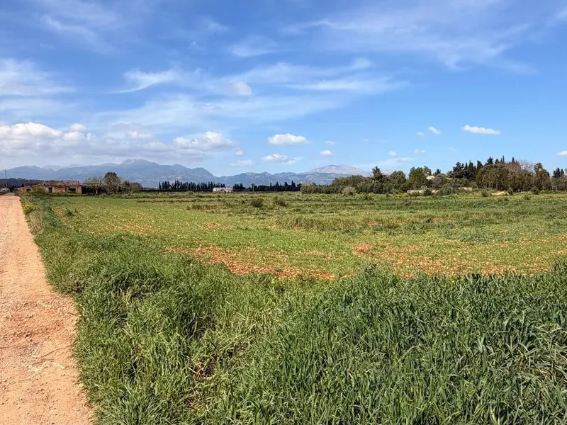 Land in Llubi, Mallorca — photo 2