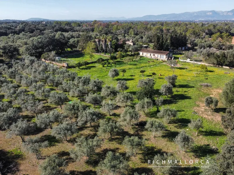 Exceptional Rustic Estate with Building Potential in Costitx — photo 1