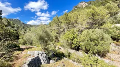 Rustic finca in Alaró — photo 5