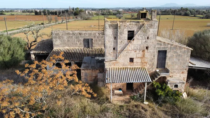 Rustic finca in Campos — photo 2