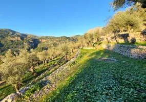 Finca in a Charming and Unique Setting — photo 7