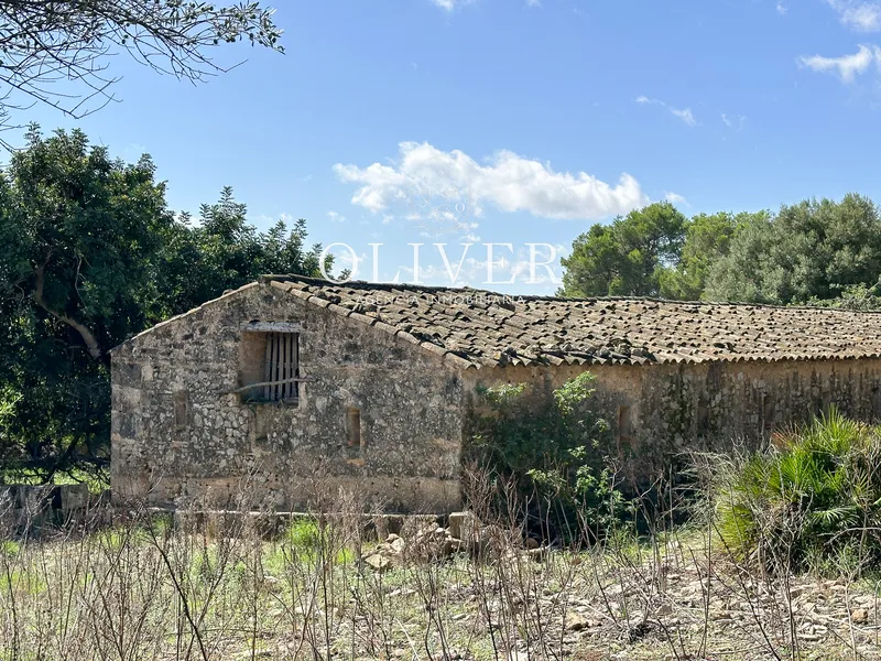 Beautiful finca with sea views in Alcudia — photo 10