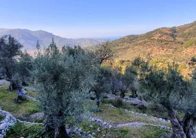 Finca in a Charming and Unique Setting — photo 12