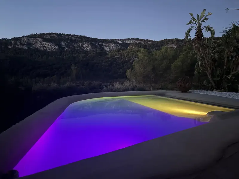 Amazing House — photo 3