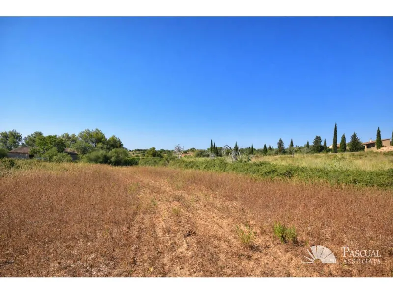 Opportunity: Plot with permit in Sant Llorenc — photo 5