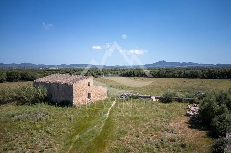 Old finca to renovate between Felanitx and Vilafranca — photo 1