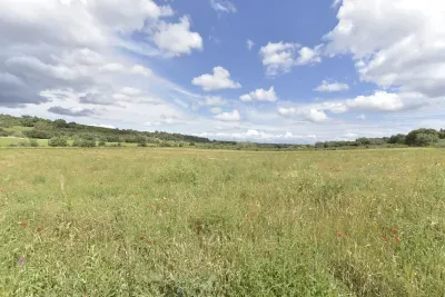 Rustic land in Ariany — photo 2