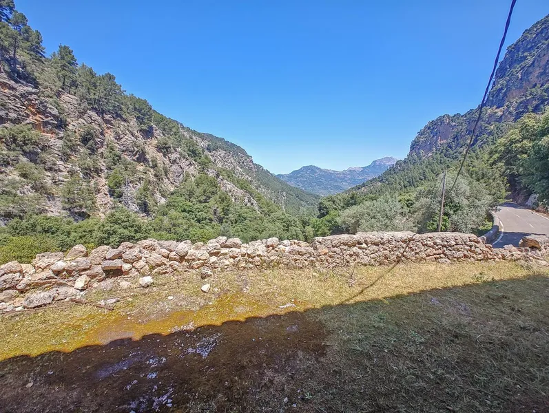 Mallorcan charm and great renovation potential in a privileged setting in Sóller — photo 7