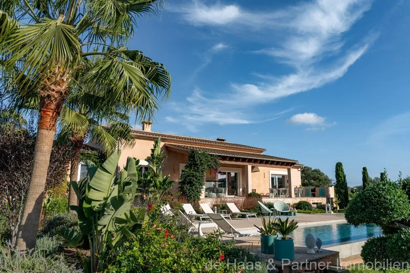 16,156m² finca with 8 rooms, pool and terrace for sale — photo 6