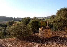 Rustic Finca in Predominant Position — photo 3