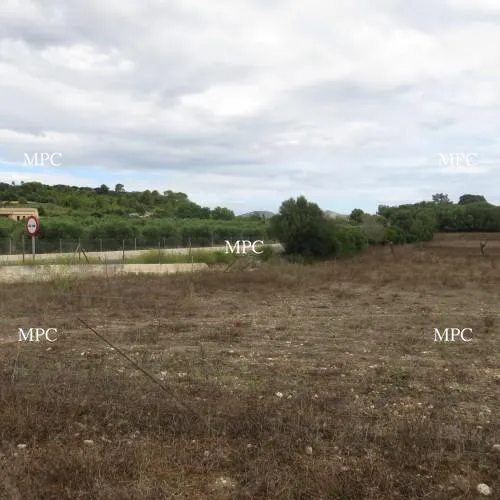 Building license to start construction of house and swimming pool on a slight hill in Son Carrio — photo 1