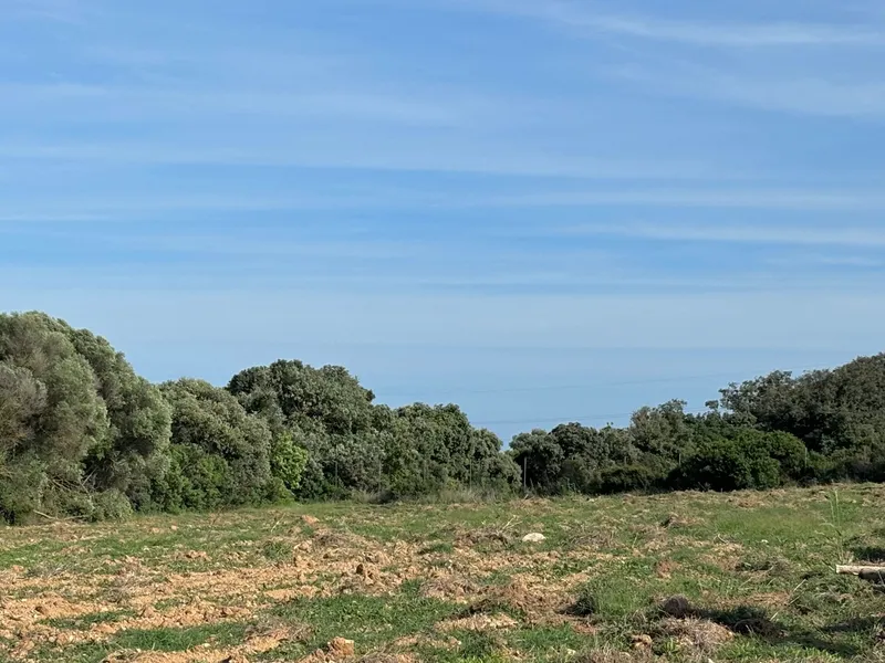 House / Chalet in Manacor — photo 8