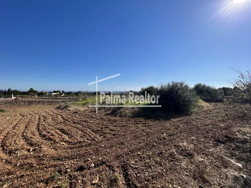 Land for sale in Son Servera of 6451 m2 — photo 7