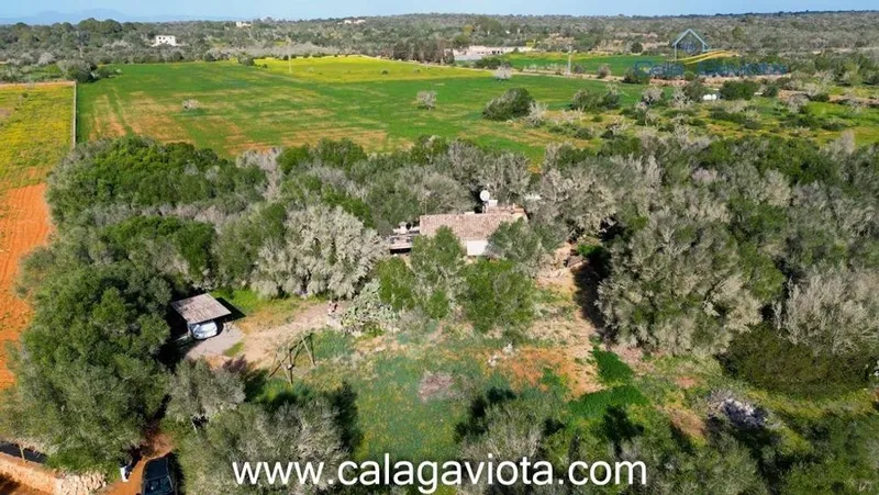 Rural or Farmhouse in ses Salines, Province of Balearic Islands — photo 4