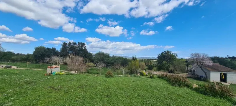 Finca for sale 3 km from Manacor — photo 6