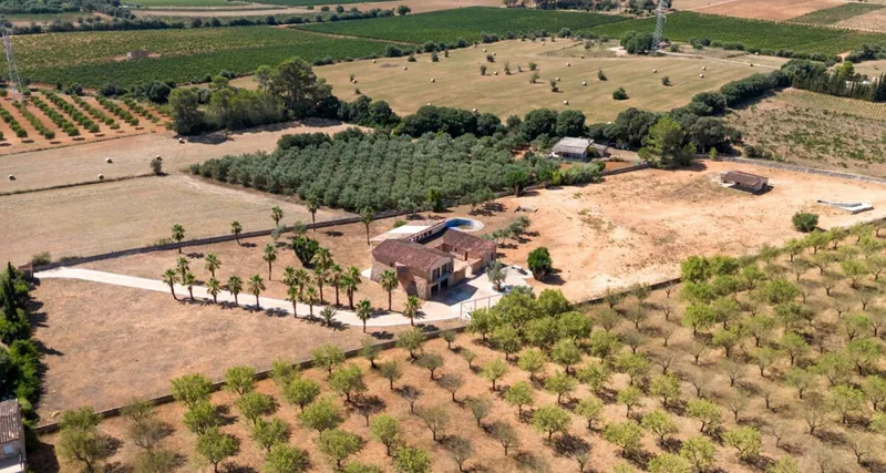 Grosse Finca bei Binissalem – Exklusives Chalet mit großem Grundstück im Herzen Mallorcas — photo 9