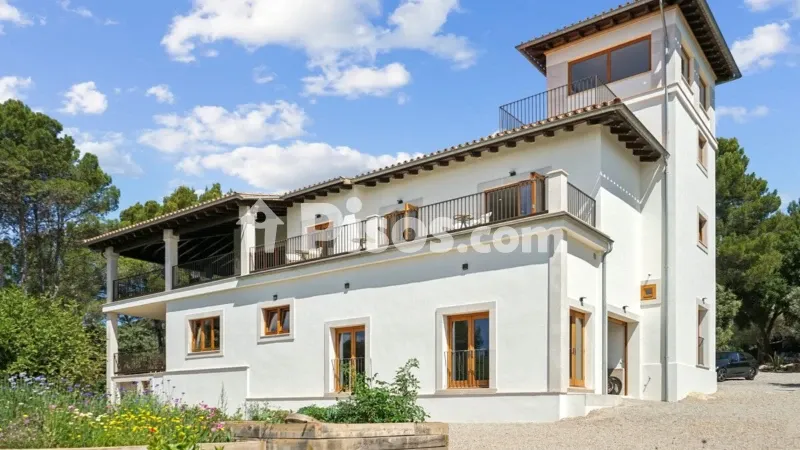 Rustic finca in Es Camp Redó — photo 2