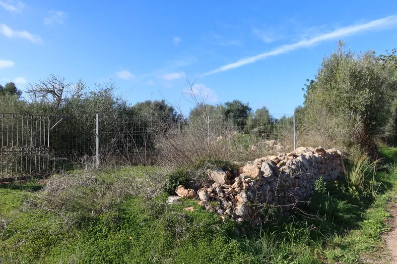 Buildable plot with great privacy in Campos – 14,625 m² — photo 8