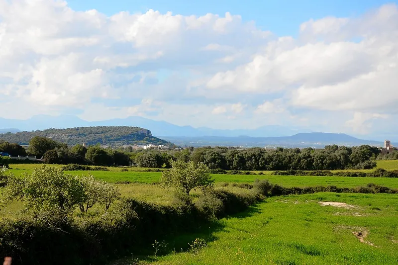 Large building plot with open views near Felanitx at Puig de Sant Salvador — photo 7