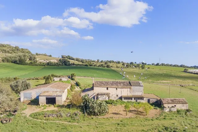 Building plots for two luxury fincas for sale in Manacor, Mallorca — photo 4
