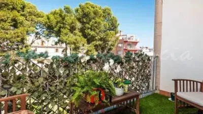 Apartment in Cort — photo 4