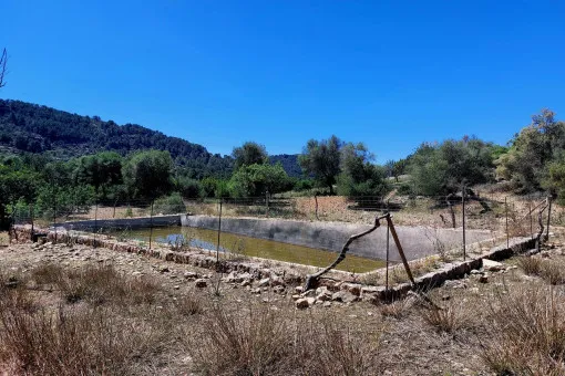 Alaró, finca project in a stunning hill landscape with mountain views near Alaró — photo 12