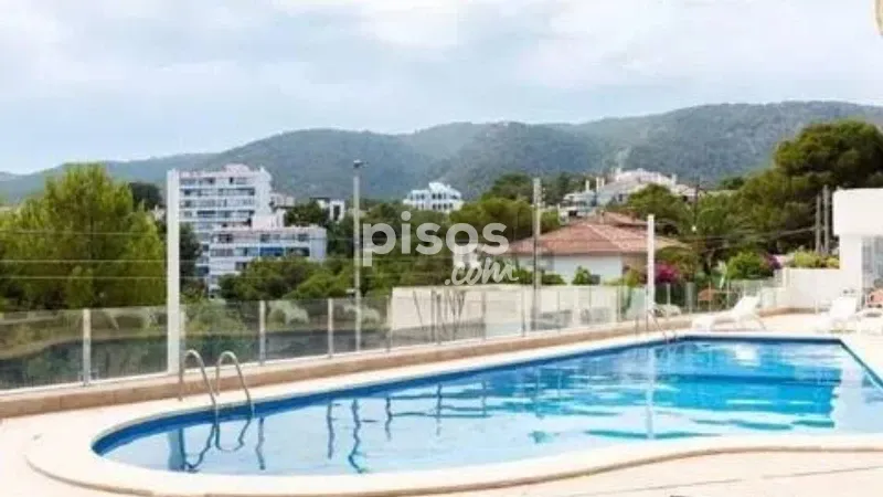 Apartment in Sant Agustí — photo 2