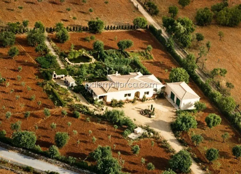 Villa in Llucmajor — photo 4