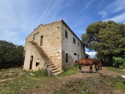 Rustic property - Palma de Mallorca (Son Ferriol - Sant Jordi), Built Surface 400m², Plot Surface... — photo 3