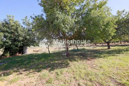 Stone house - Selva, Built Surface 35m², Plot Surface 8400m², Terrace Size 10m², 1 Room, 1... — photo 5