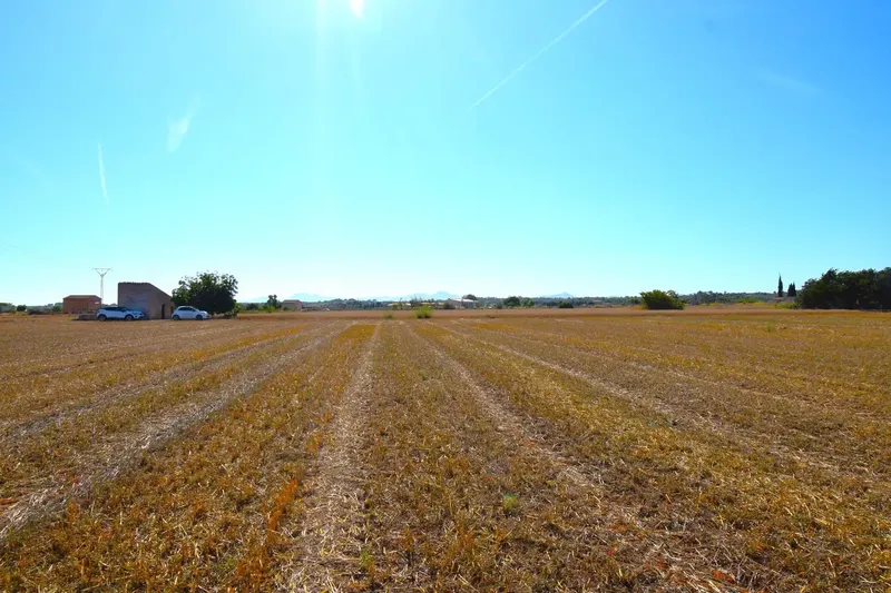 Set of two plots totaling 15,324 m² with possibility of building a house in Muro. Located approximately 5 km from the beach — photo 10