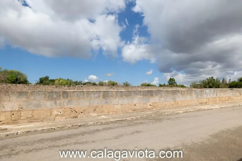 Land in Ses Salines, Province of Balearic Islands — photo 3