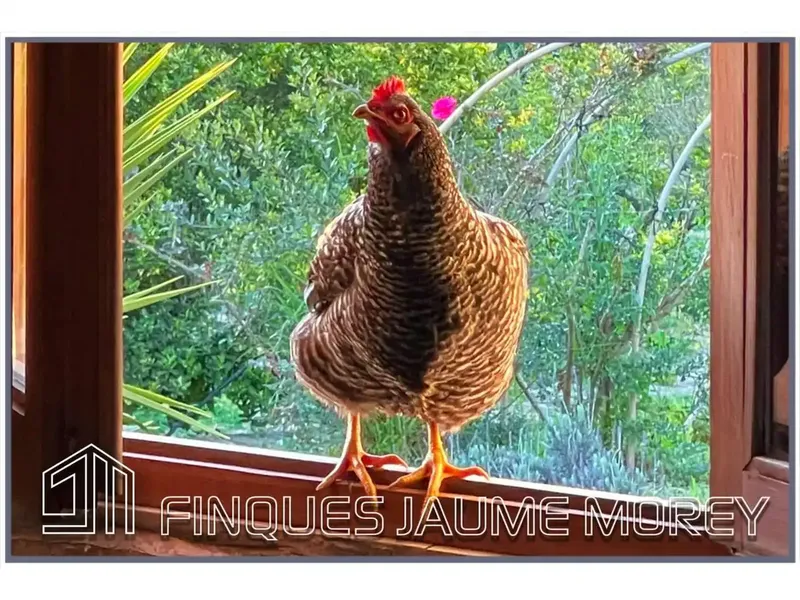 Cozy and idyllic country house ideal for those seeking peace and tranquility offered by nature with incredible clear views — photo 1
