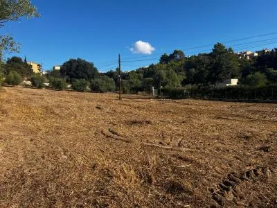 Rustic property - Campanet , Plot Surface 1765m 2 . — photo 9
